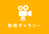 動画ギャラリー