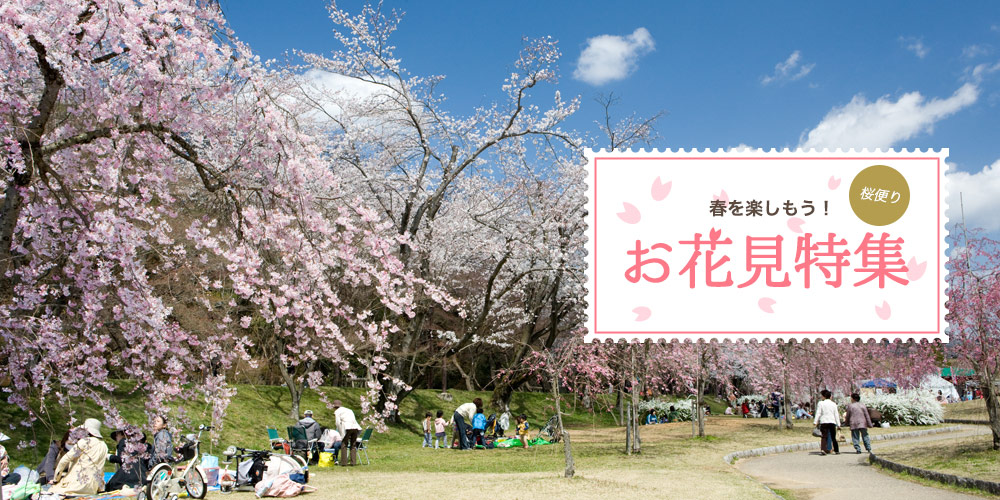 西三河のお花見特集