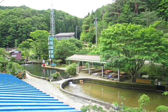 山の里 たんぽぽ