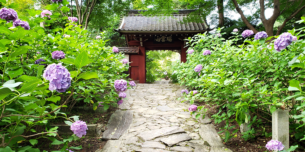 美術館と神社仏閣巡り