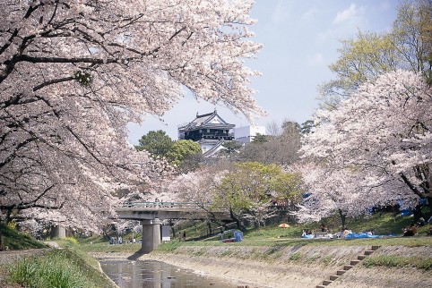 岡崎公園