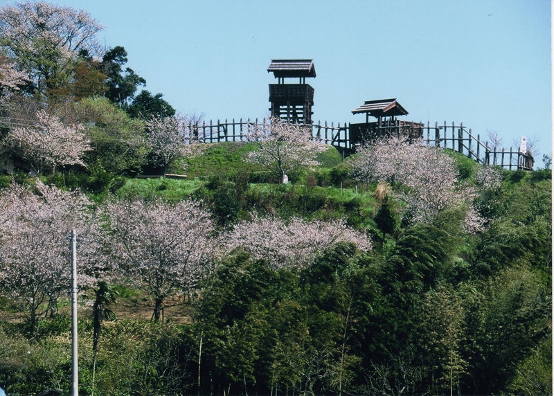 東条城跡