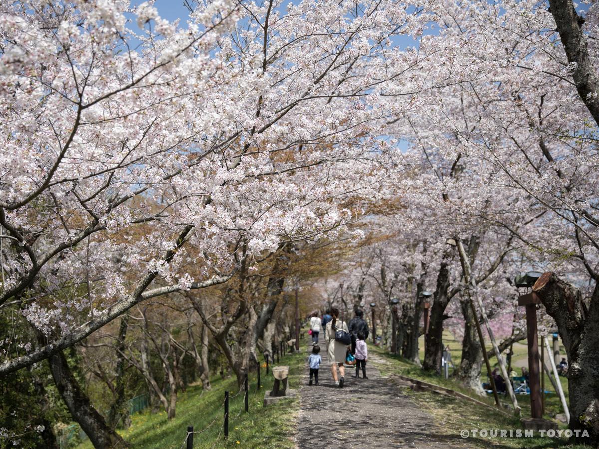 水源桜まつり