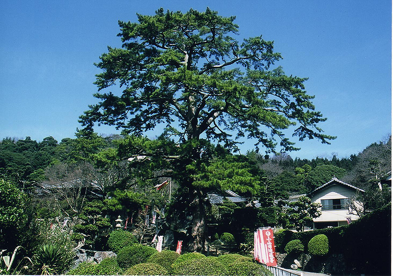 勝楽寺