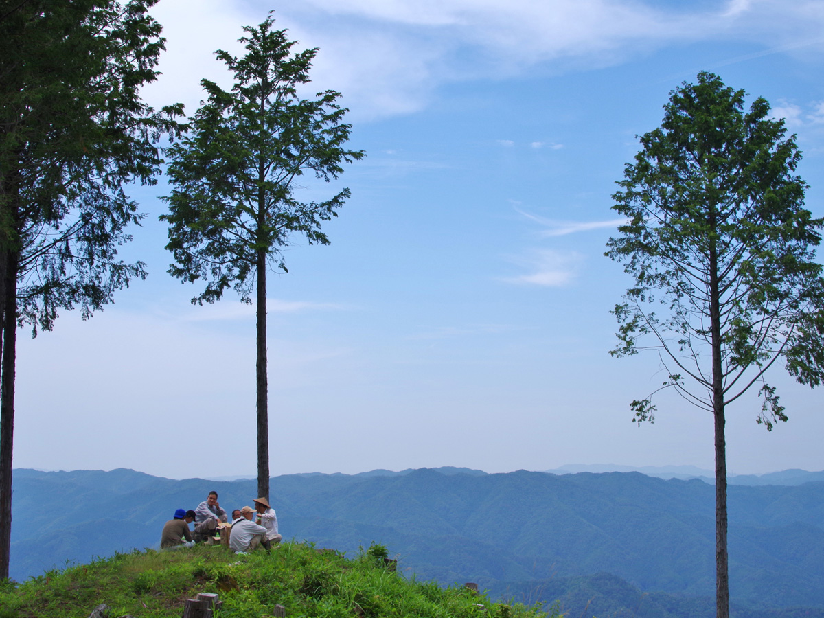 押山　雲海