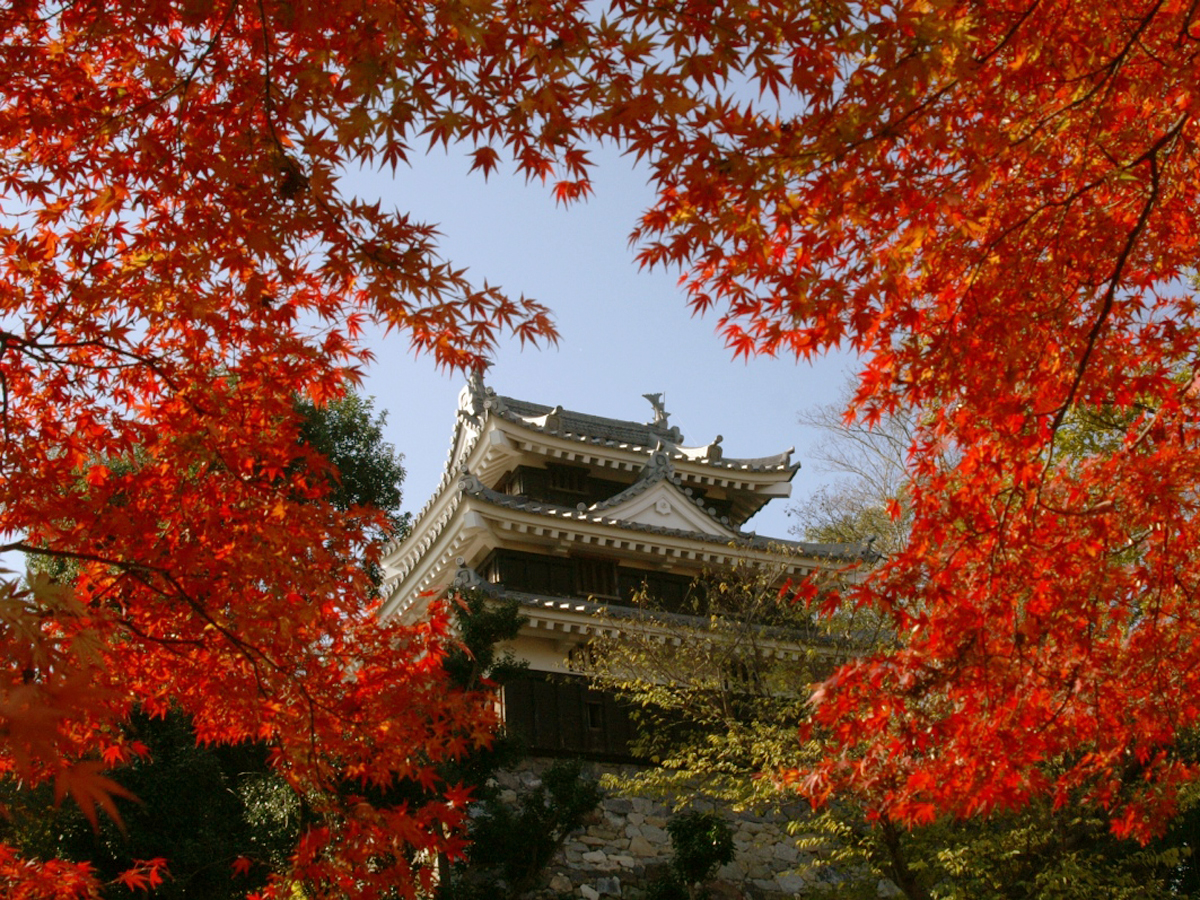 西尾市歴史公園 (西尾城と旧近衛邸)