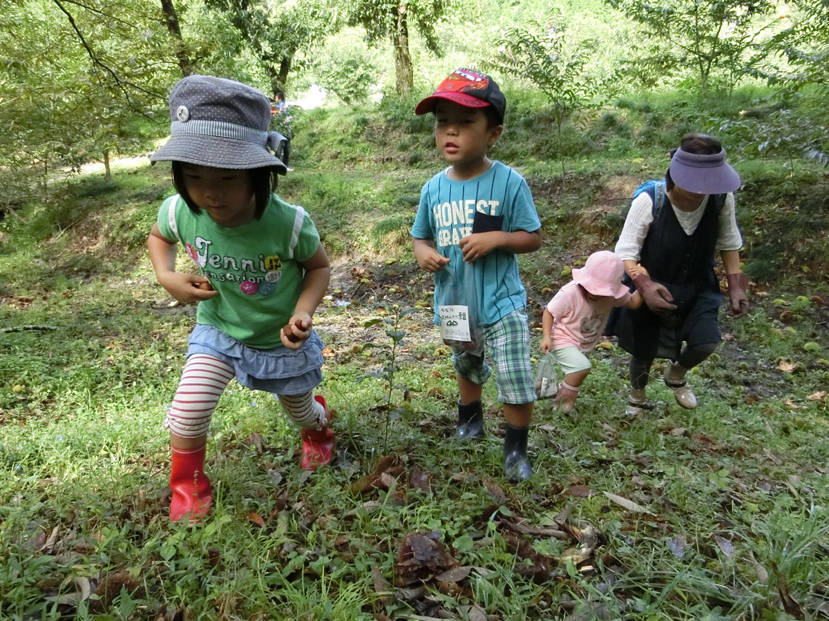 足助みたち栗園栗拾い