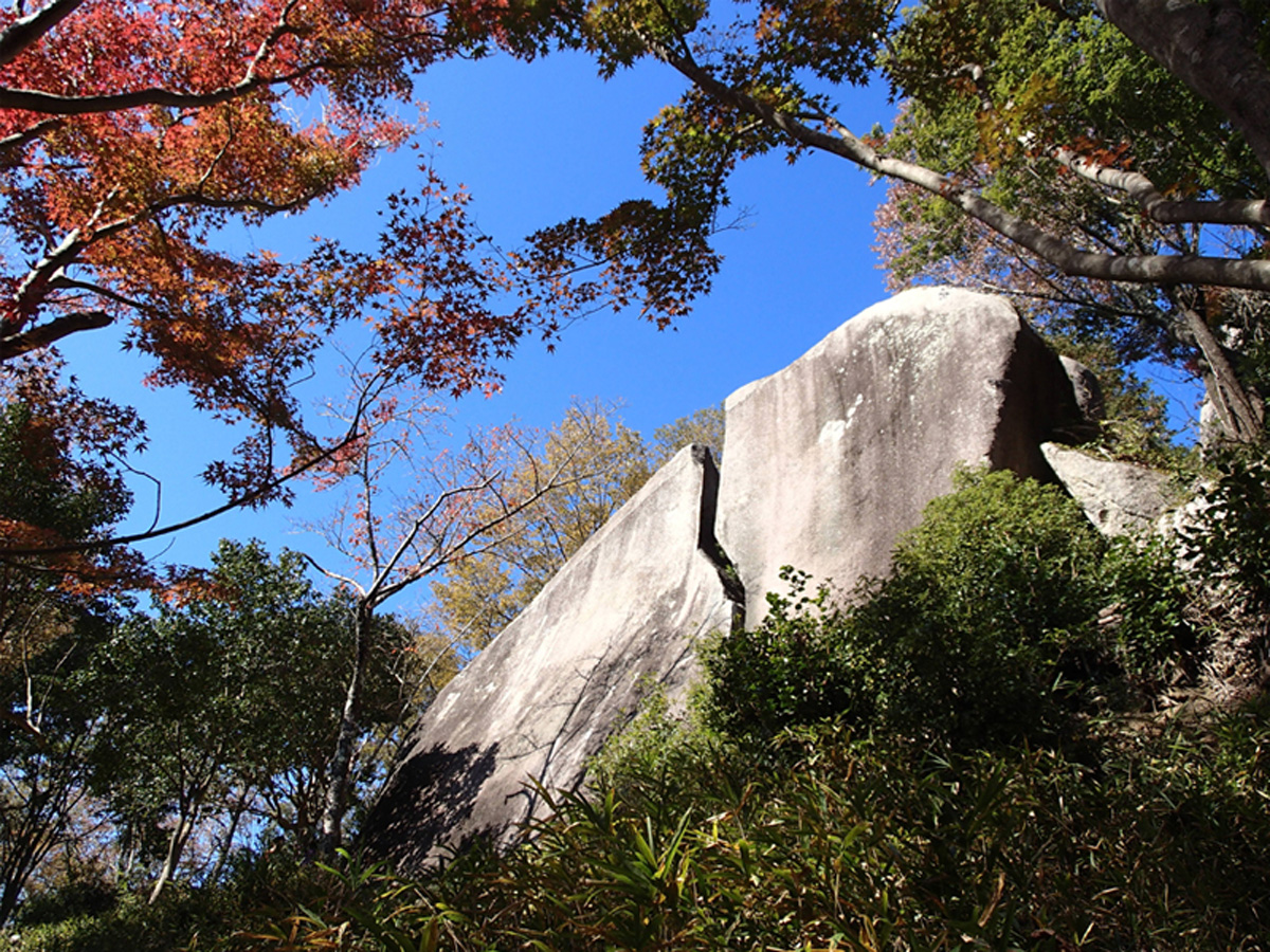 天下峯