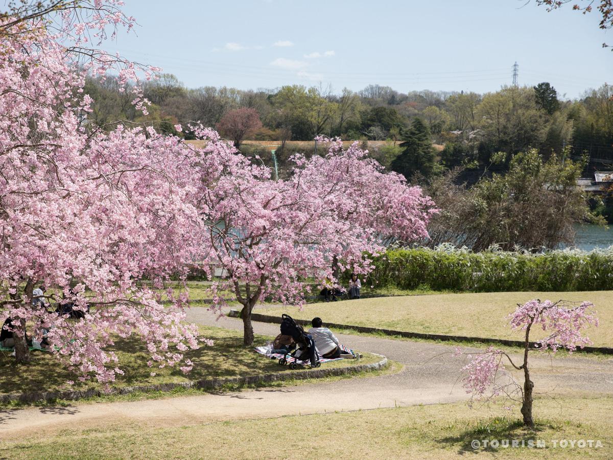 水源桜まつり