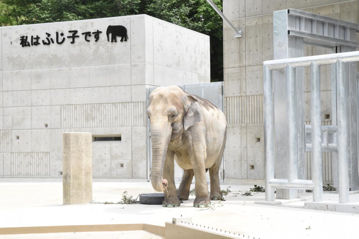 東公園（動物園）