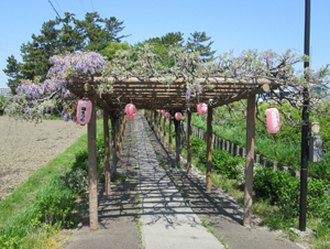 城藤園