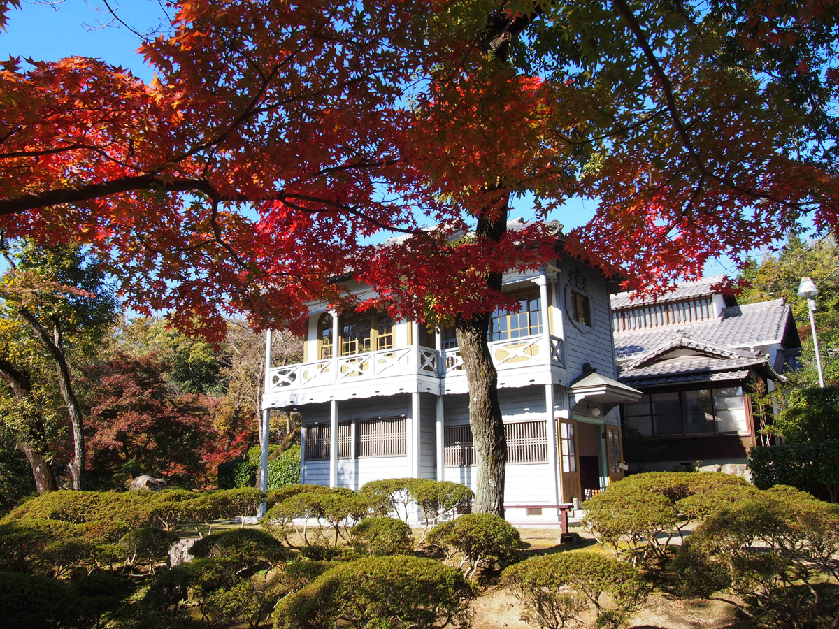 勘八峡紅葉ウォーキング