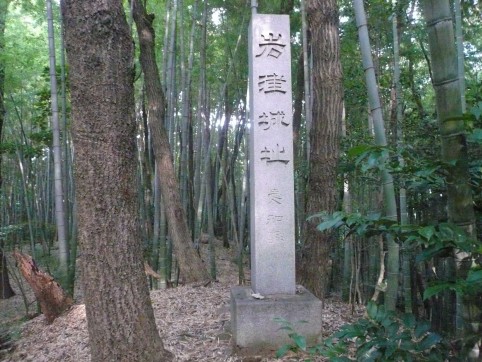 中世城址跡（岩津城址）