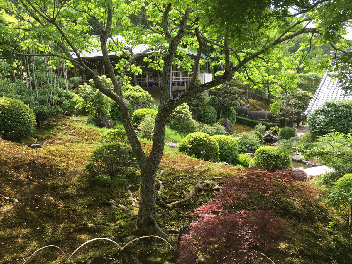 奥殿陣屋（旧奥殿藩陣屋跡）