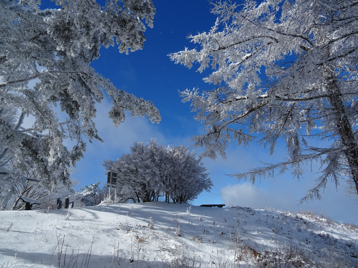 寧比曽岳の樹氷（足助）