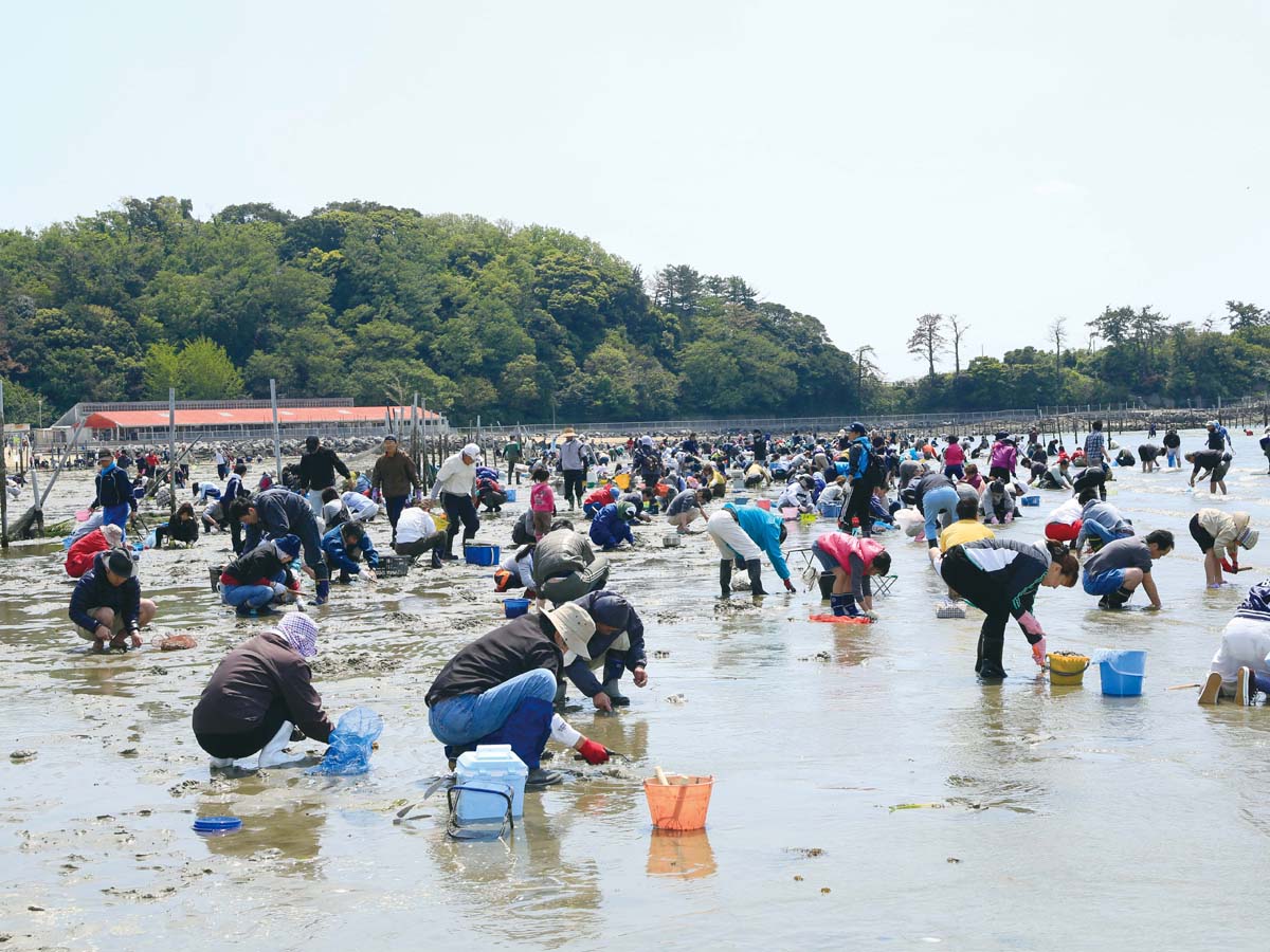 東はず海岸・前島