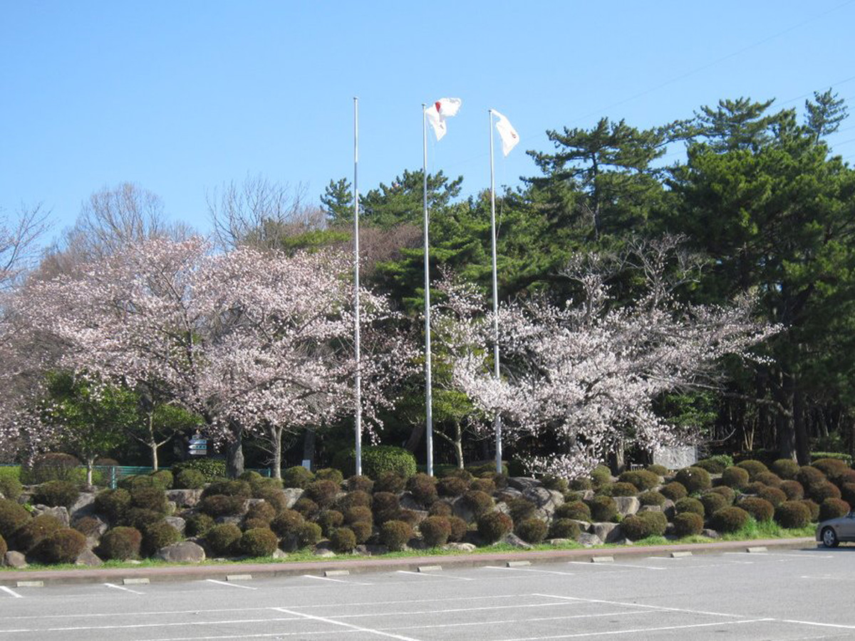 南公園はるフェスタ