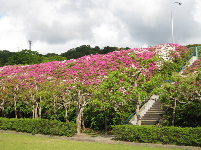 彦左公園