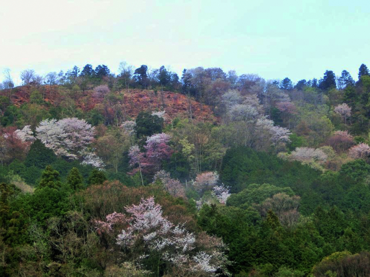 おおだの森（水とみどりの森の駅）