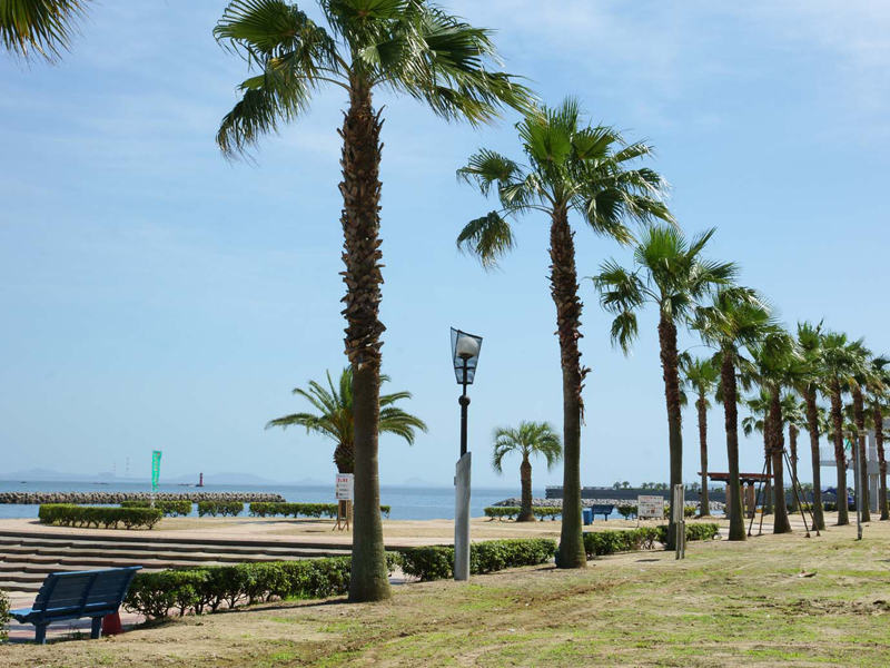 恵比寿海水浴場