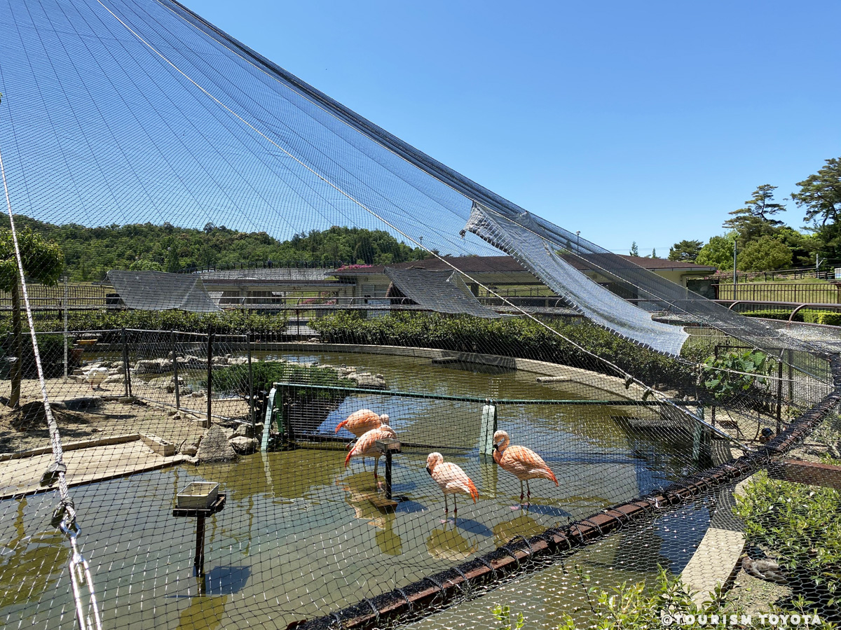 鞍ケ池公園 愛知県西三河エリアの公式観光サイト 西三河ぐるっとナビ