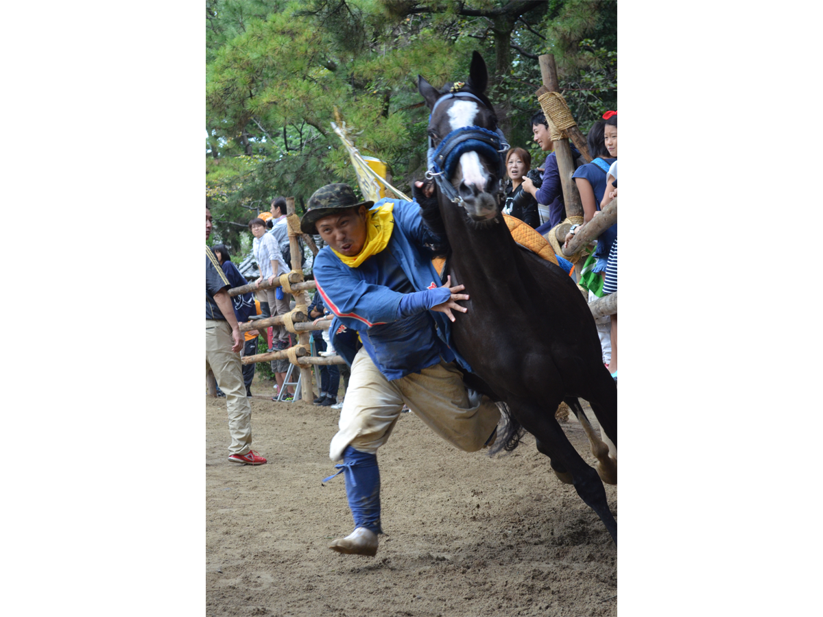 高浜おまんと祭り