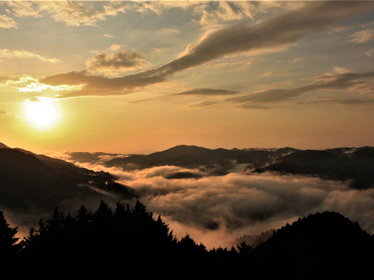 押山　雲海