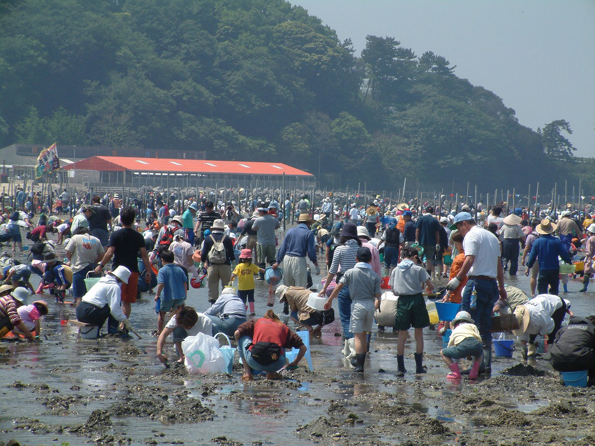 東はず海岸・前島潮干狩り