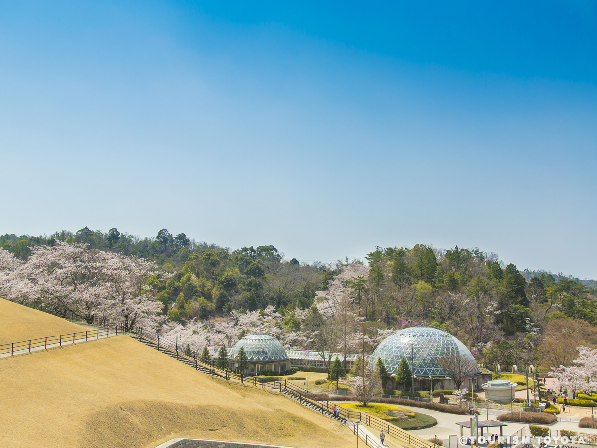 鞍ケ池公園