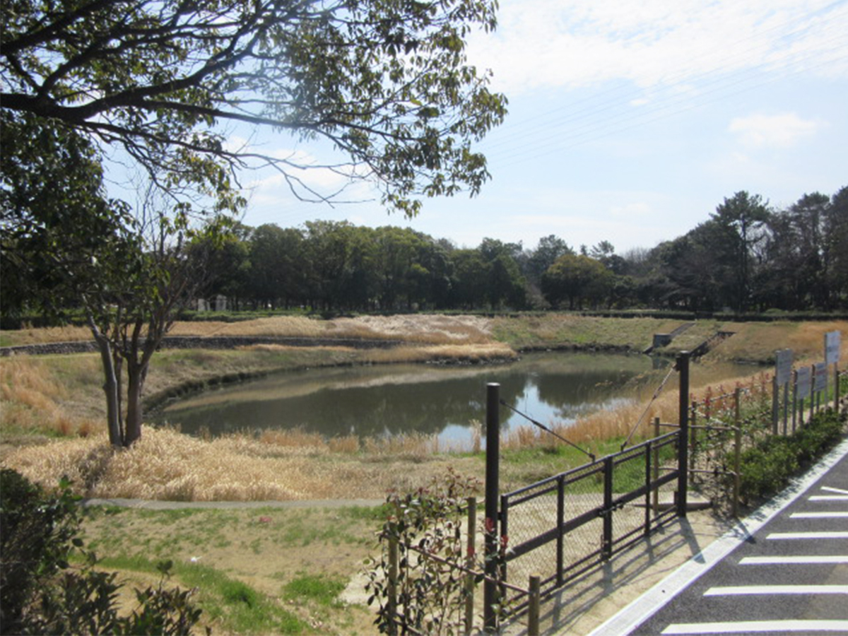 秋葉公園