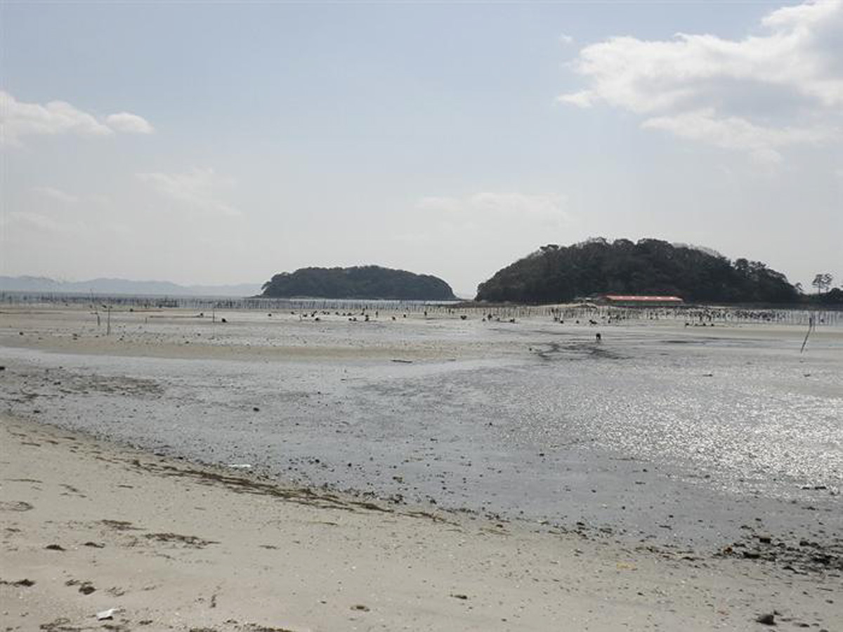 東はず海岸・前島潮干狩り