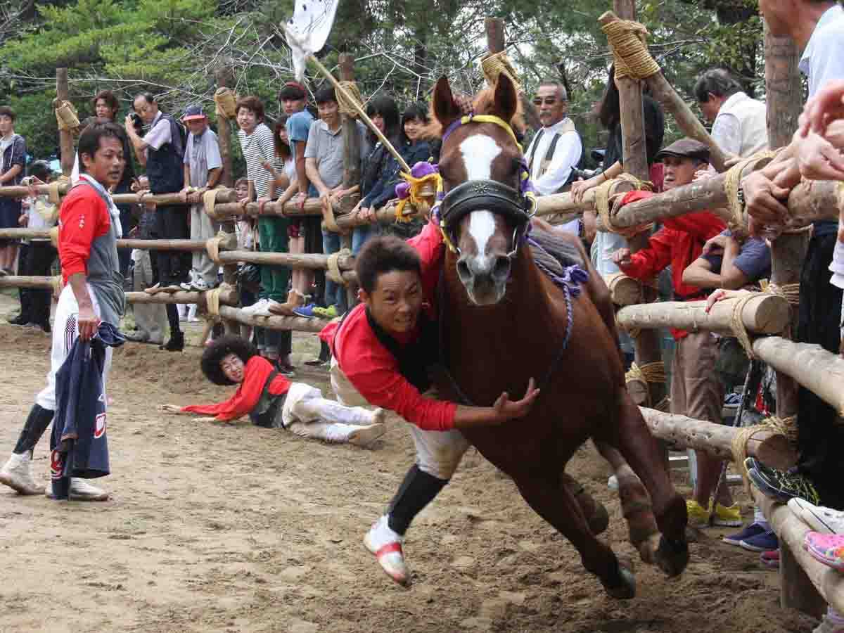 高浜おまんと祭り