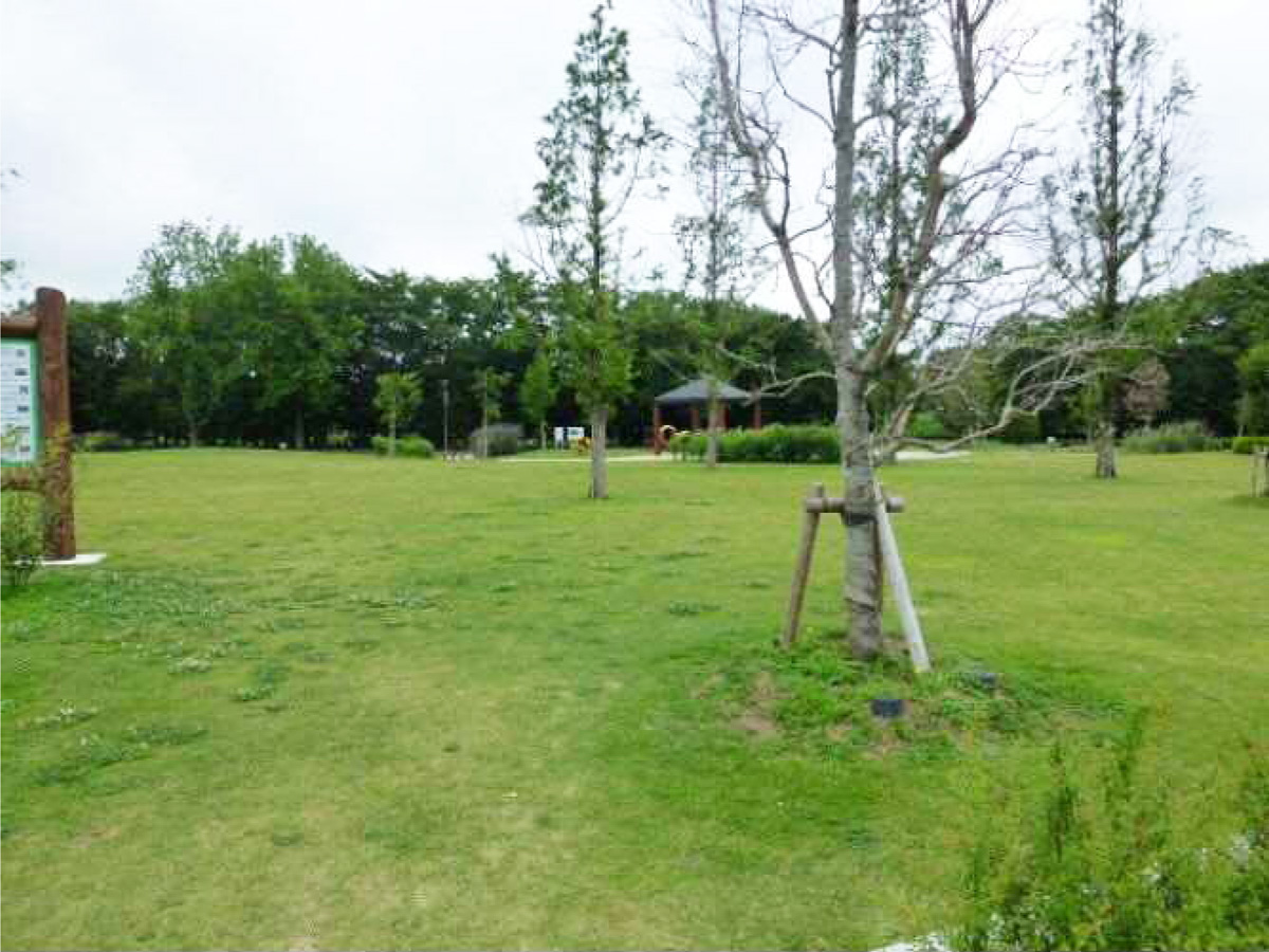 柳川瀬公園