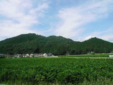 おおだの森（水とみどりの森の駅）