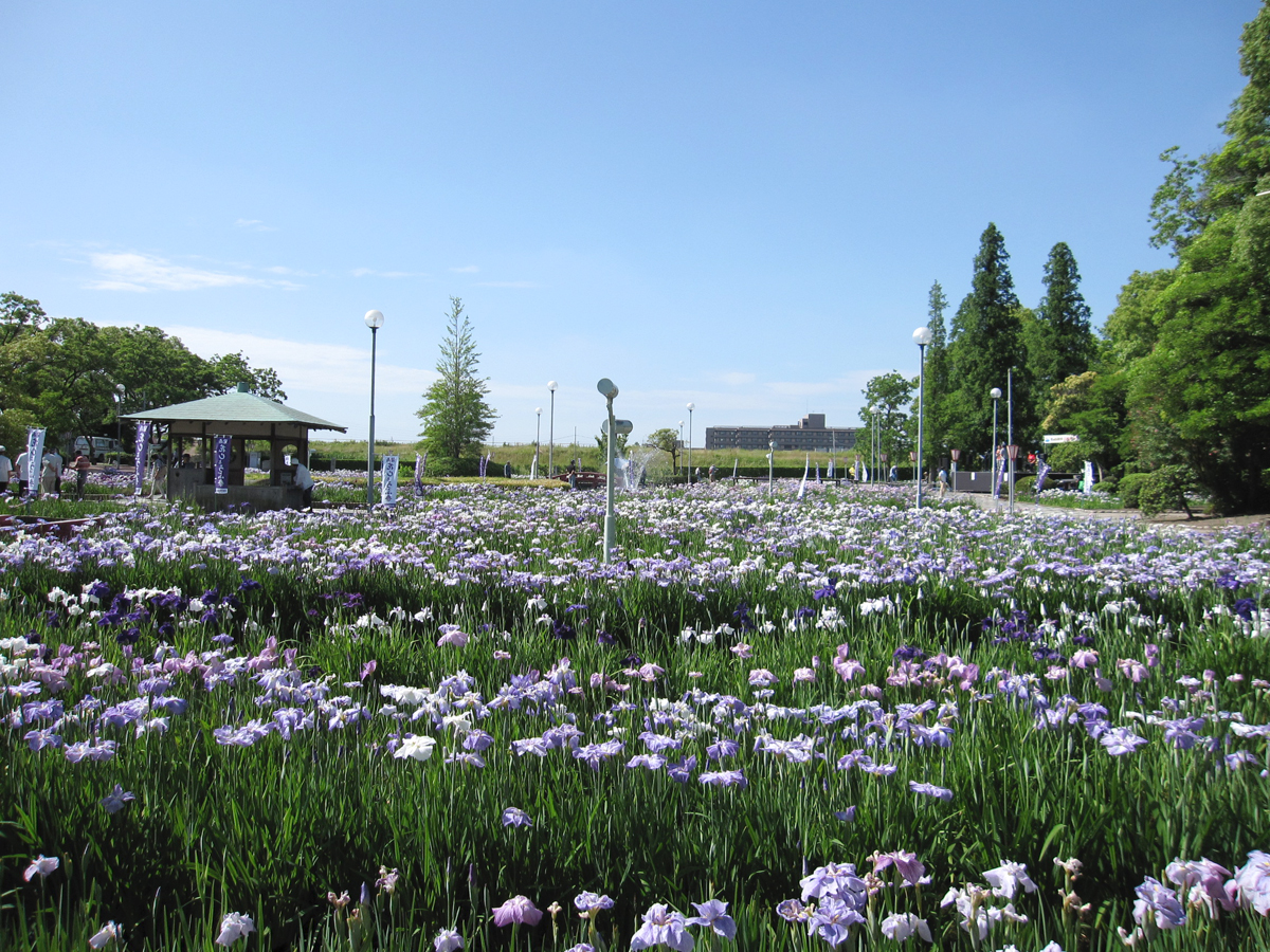 油ケ渕遊園地 愛知県西三河エリアの公式観光サイト 西三河ぐるっとナビ
