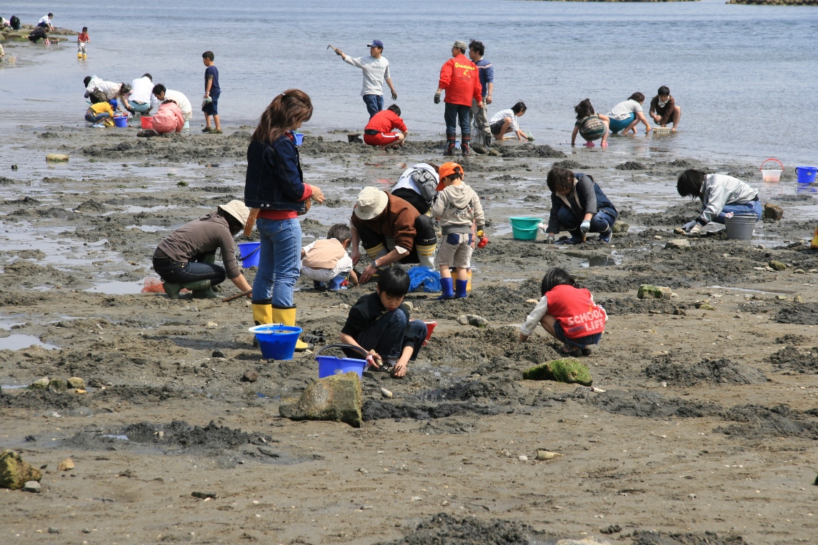 一色海岸（さかな広場西）潮干狩り