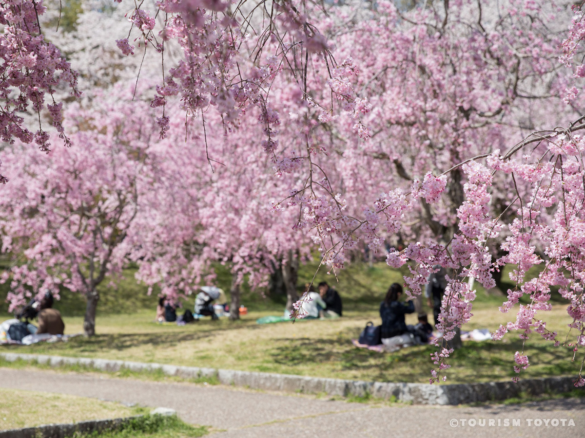 水源公園