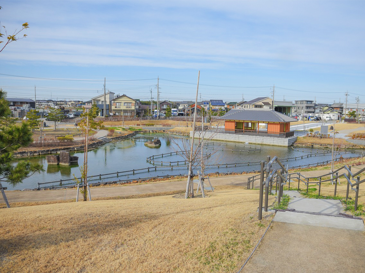 油ヶ淵水辺公園 水生花園