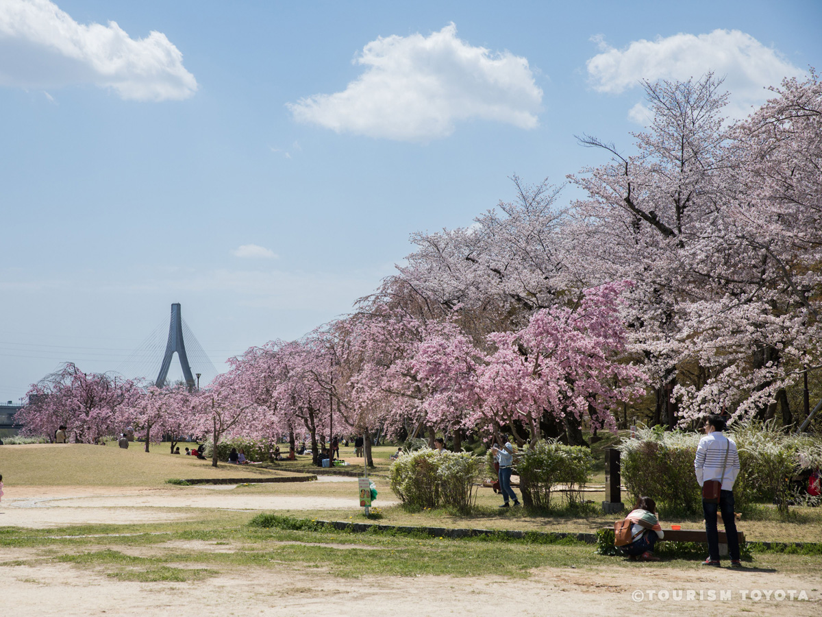 水源公園