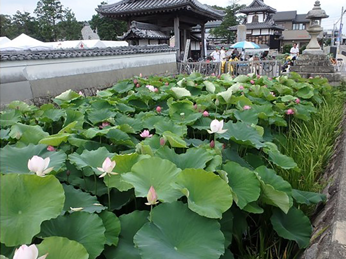 本證寺