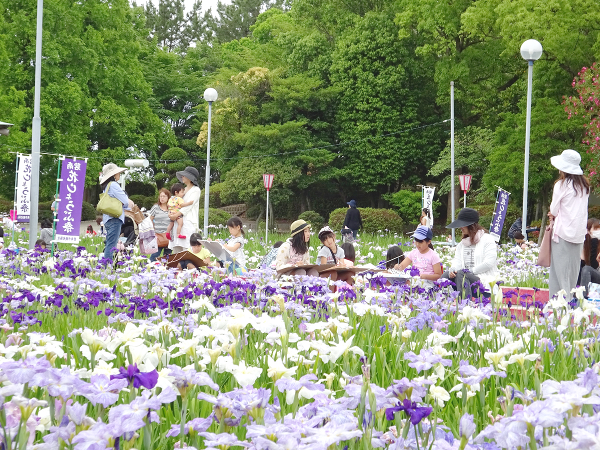 油ヶ渕遊園地（花しょうぶ園）