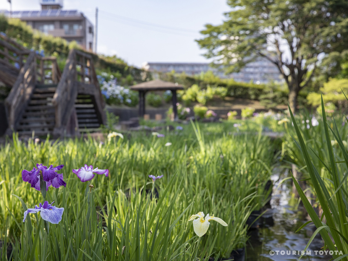 西山公園