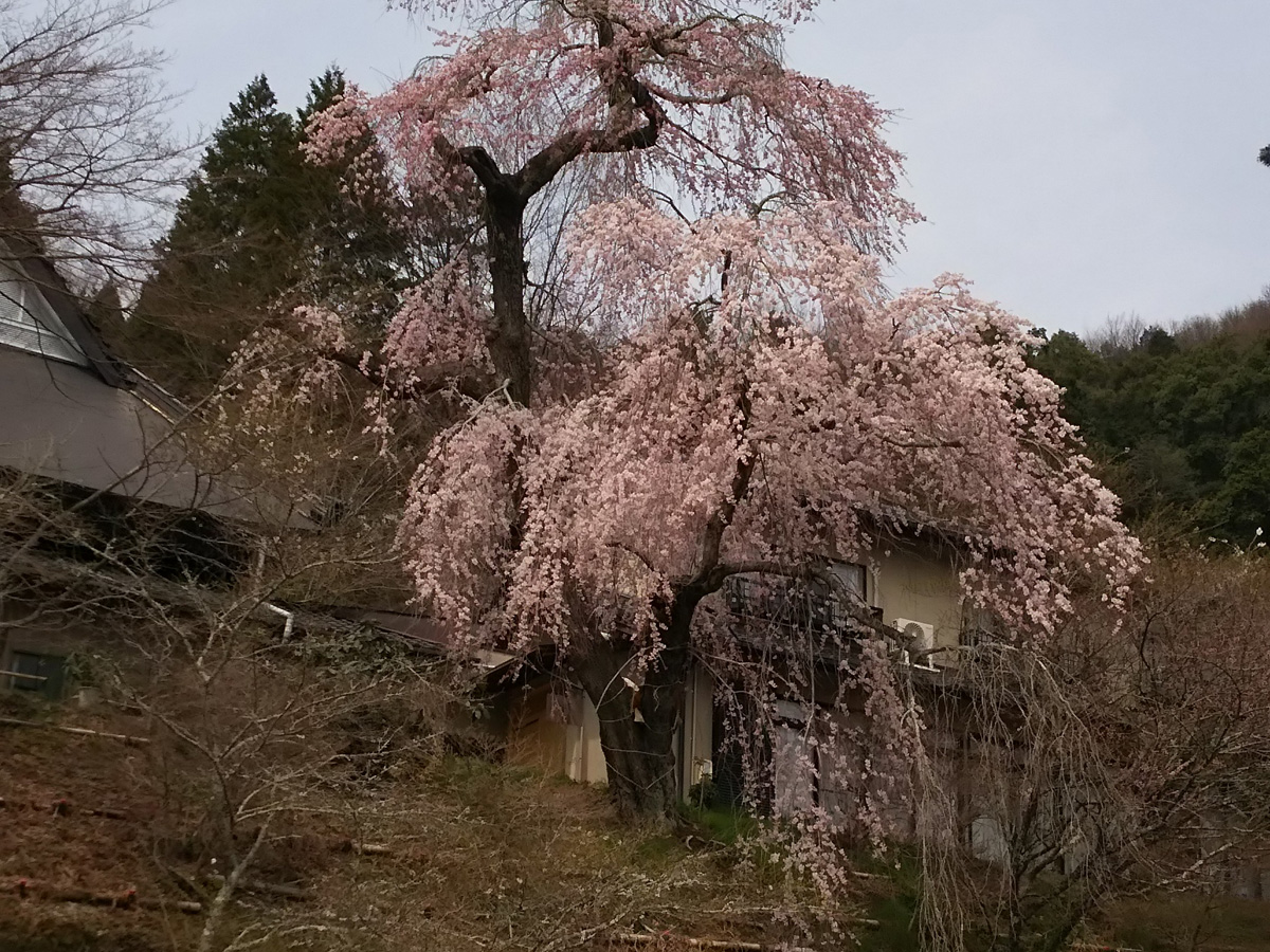 嶺雲寺