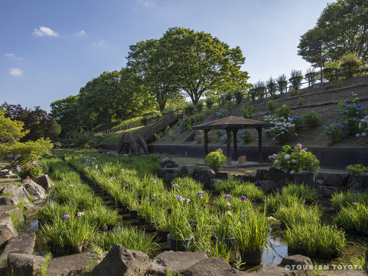 西山公園