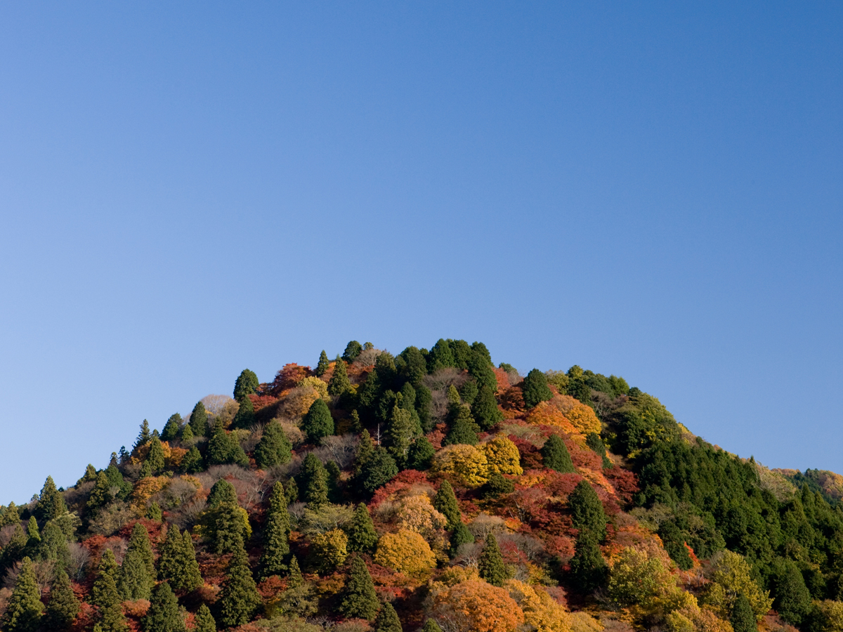 飯盛山