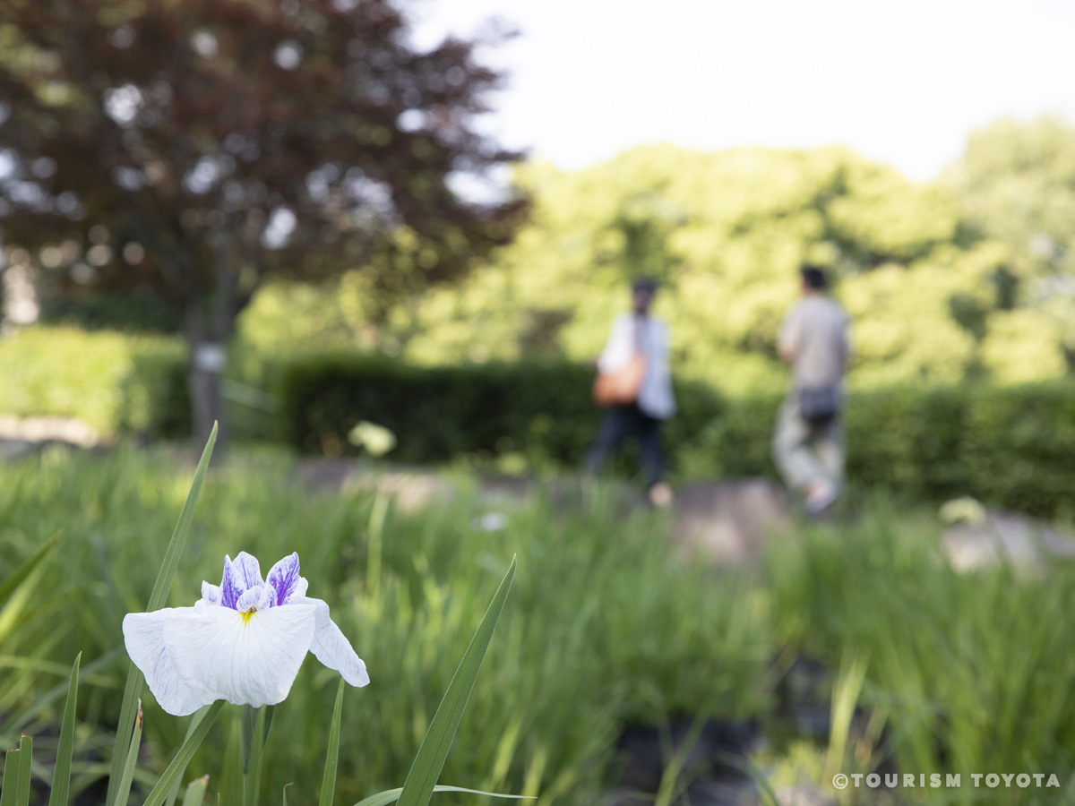 西山公園