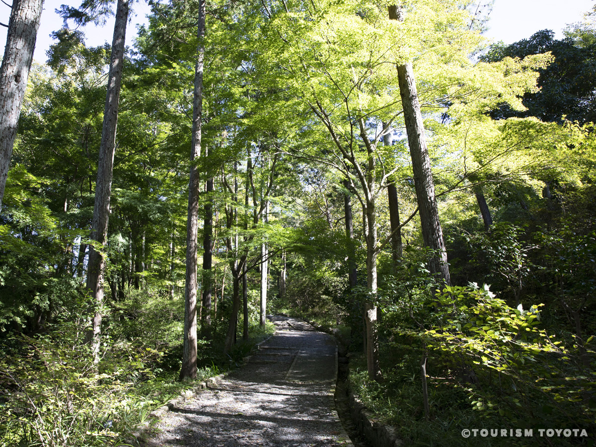 愛知県緑化センター・昭和の森