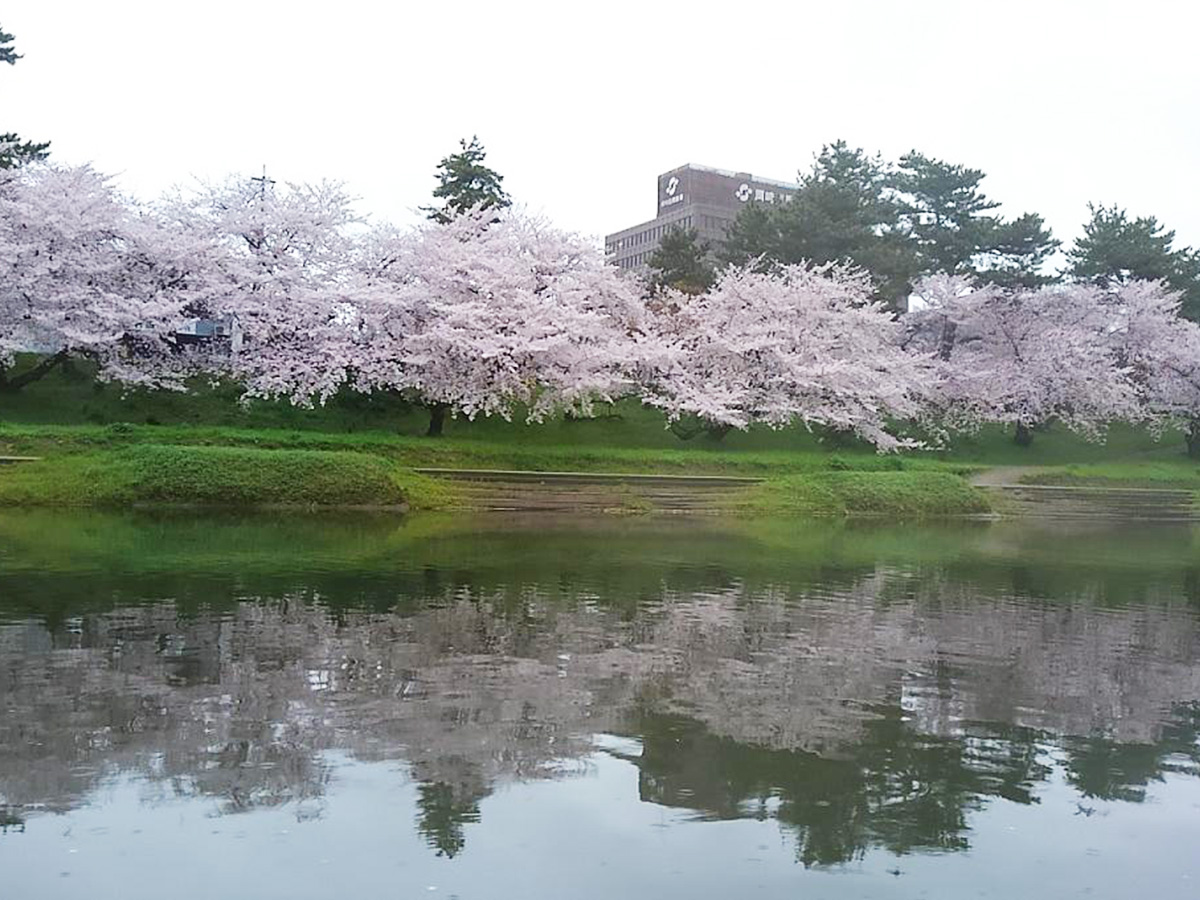 岡崎城下舟あそび