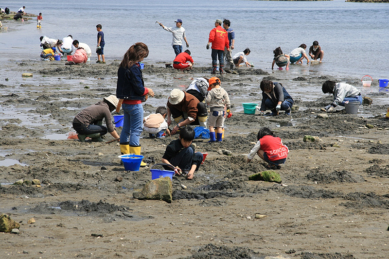 一色海岸