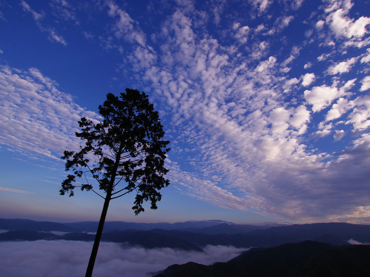 押山　雲海